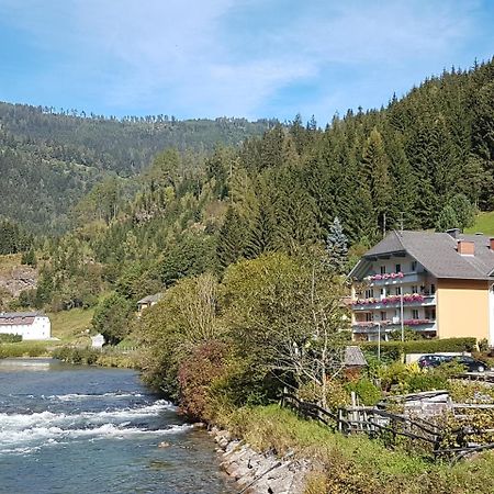 Luxury Apartment Ramingstein エクステリア 写真